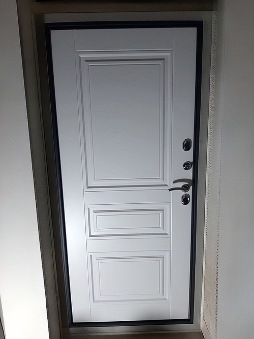 Панель входной двери