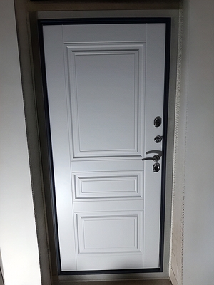 Панель входной двери